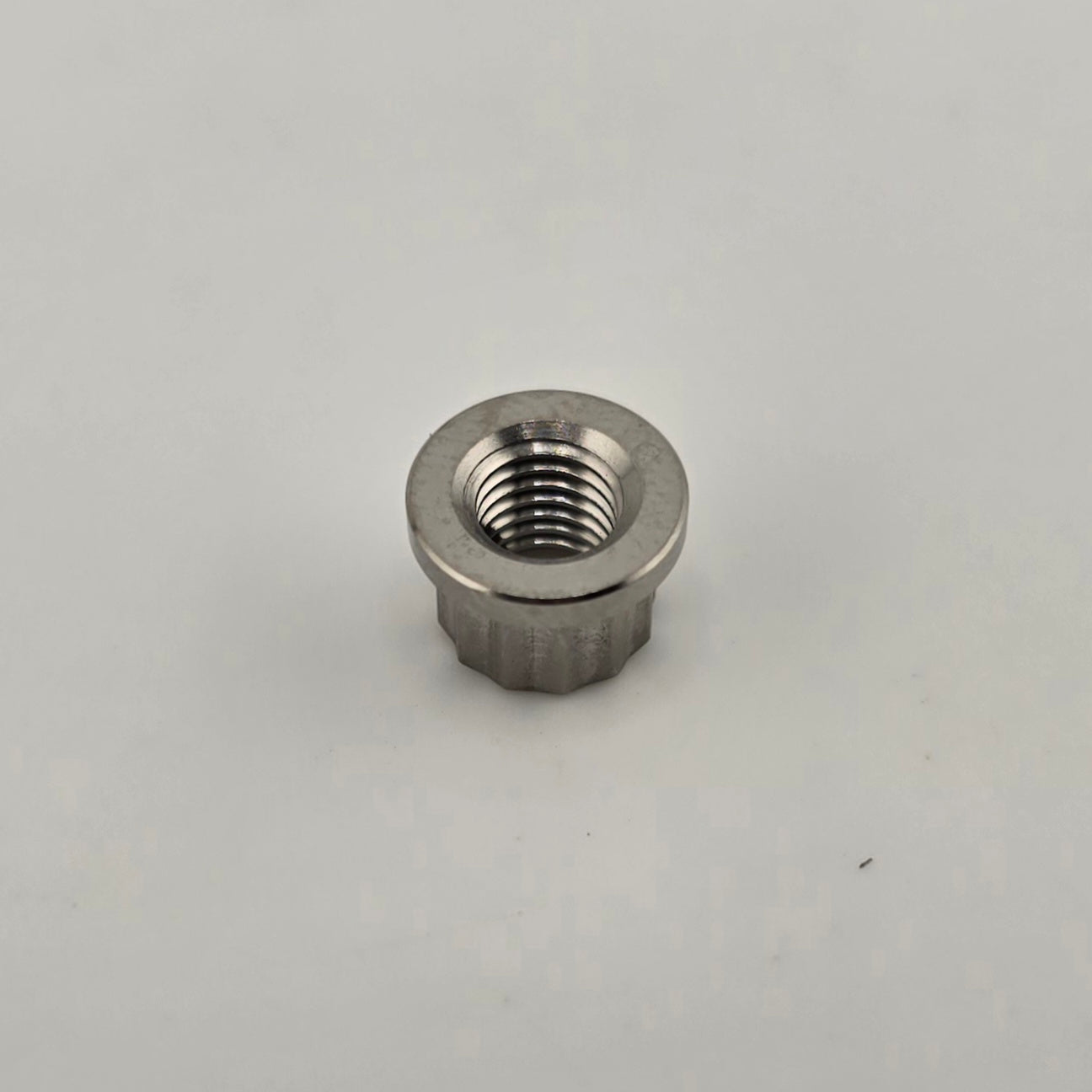 Titanium 1/4-28 12 Point Nut - Animal Rocker