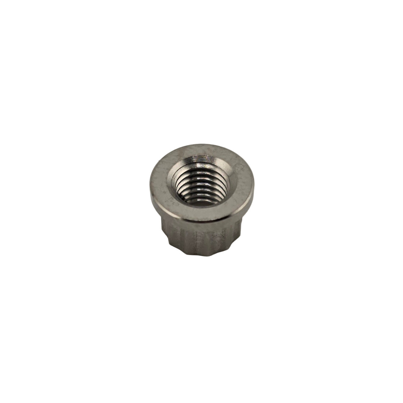 Titanium 1/4-28 12 Point Nut - Animal Rocker