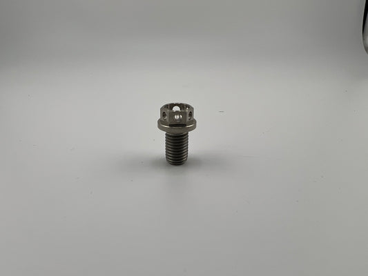 Titanium Brake Rotor Bolt  5/16-24 Drilled