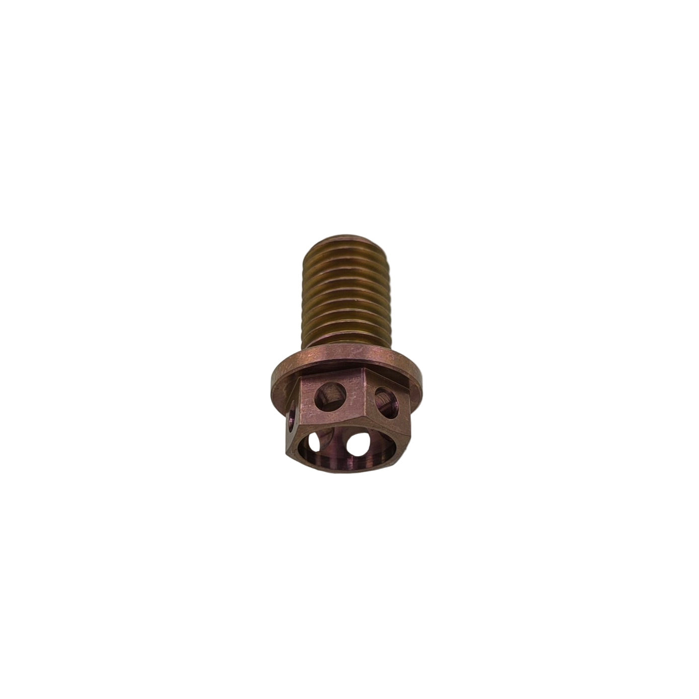 Color Lab -Titanium Go Kart Rotor Bolt 5/16-24 Drilled