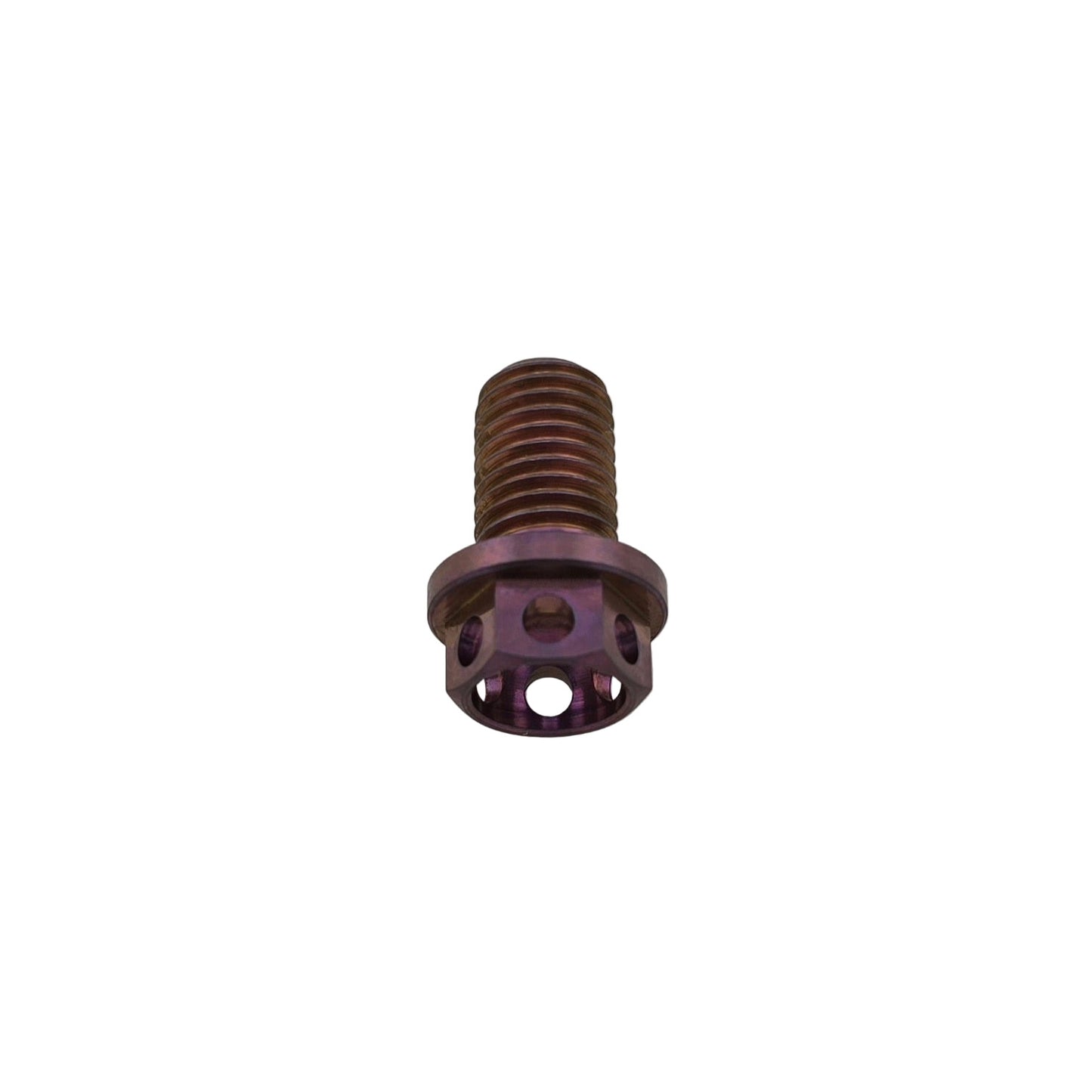 Color Lab -Titanium Go Kart Rotor Bolt 5/16-24 Drilled