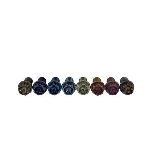 Color Lab -Titanium Go Kart Rotor Bolt 5/16-24 Drilled